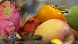 Plant peel extends life of fresh produce