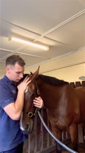 Post-Race Cuddles With Miss Alexis 🐎💙 | Thoroughbred Bond