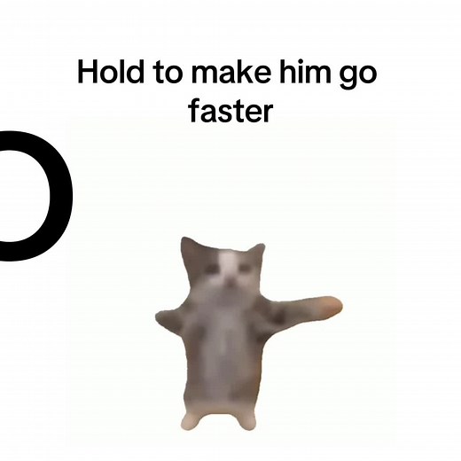 Yippie Cat Jumping Compilation