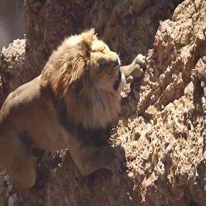 Top movie Netflix 2023 #movienight #moviereview #movietime #movieblog #highlights #reels #reelsfb #reelsvideo #reelsviral #reelsinstagram #rainbowmedia #rainbow #reelsindia #fyp #viral #foryou #foryoupage | Movies On Netflix