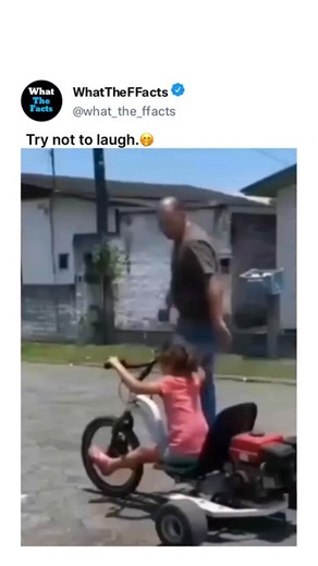 What_The_Facts | This video is a compilation of comedic fail clips organized into escalating "difficulty" levels, ranging from a simple bike mishap to a... | Instagram