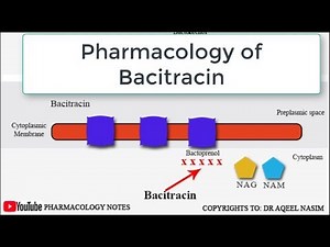 Bacitracin Pharmacology and Mechanism of Action #bacitracin #pharmacology #antibiotics