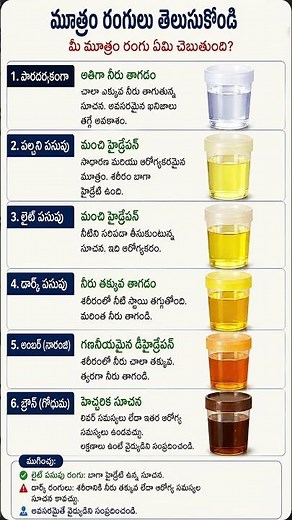 What Your Urine Color Says About Your Health 💧😲