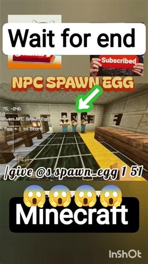 Minecraft’s Most Secret NPC Spawner?! 😱