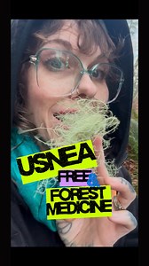 Usnea is an amazing gift we can use from the forest to keep us healthy. It’s great to learn what the things around you are to help remind us that we are all a part of this ecosystem #whichbetty #usnea #ImmuneSupport #herbalmedicine #forage | Elizabeth Burdock