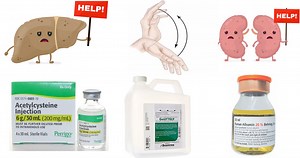 Update on Diagnosis and Management of Liver Failure. | RECAPEM