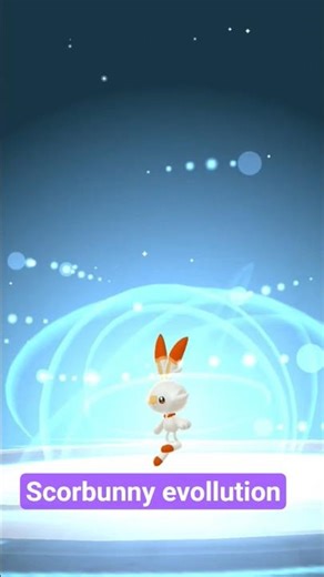 scorbunny evollution