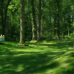 Ombliboo, Tombliboo, that's how it goes! Whose little one knows all the actions to this one? 🍃🌸 | In the Night Garden