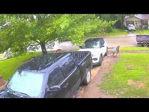 Woman Slips and Falls in Mud on Her Way to Car - 1668259