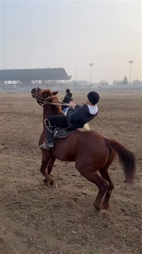 Birga ot minamiz on Instagram: "@prime_horse_ridding obuna buling😂"