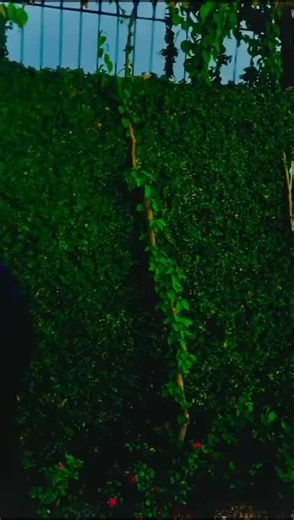 #for #you #pag #🇬🇧🇵🇰 #videoviral #🇬🇧🇬🇧