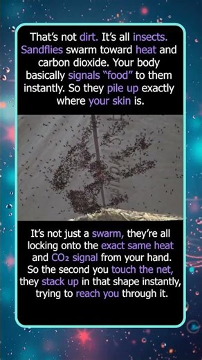 This Handprint Is Made of Biting Insects