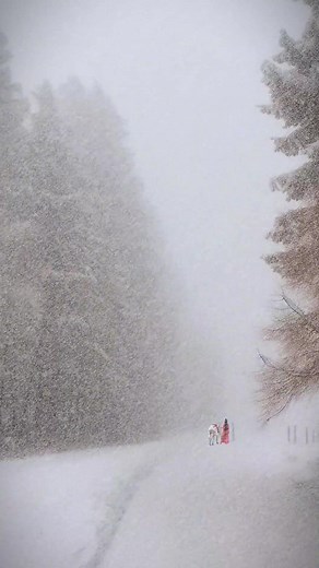 #foryou #nature #snows #healing #scenery