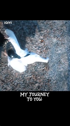 🌟These fighting scenes look so enjoyable! #cdrama #一念关山 #AJourneytoLove #云之羽 #MyJourneytoYou #山河之影 #PledgeofAllegiance | iQIYI US