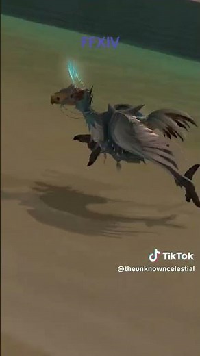 The Simple Joys of Chocobo Training 🌴 | FFXIV