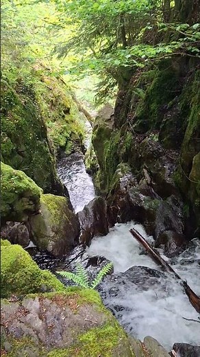 💦 A peaceful corner of the Vosges Mountains.🌿 #waterfall #nature #vosges #forest #travel