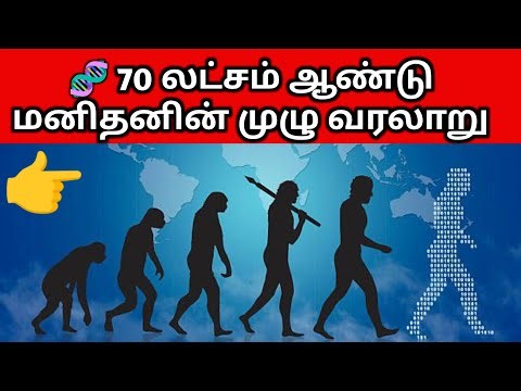 🧬 70 லட்சம் ஆண்டு மனிதனின் முழு வரலாறு! Homo Sapiens வரை | Human Evolution Explained in Tamil