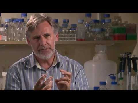 The Science of Mindfulness