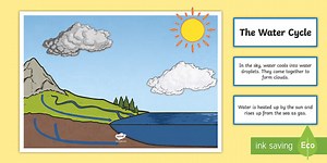Water Cycle Display Pack