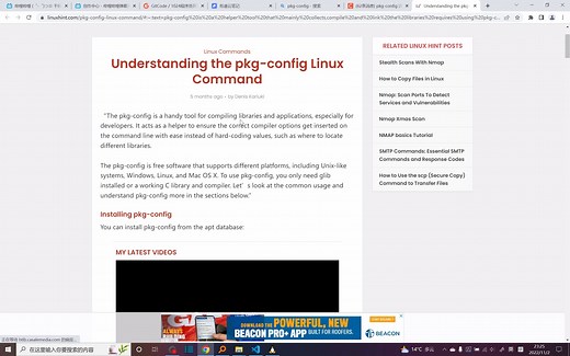 linux系统的pkg-config命令的使用(WSL)