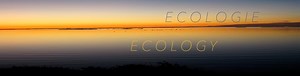 Ecologie  /  Ecology