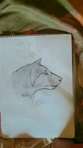 wolf drawing for beginners artist#art