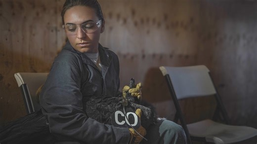 Condor C0 has returned to the Northern California Condor Restoration Program (NCCRP) flight pen after scans at the Oakland Zoo determined that the bird likely impacted something with her right wing hard enough to chip the radius bone. Condors have two long wing bones: the radius and the ulna. The radius is smaller in diameter. Oakland Zoo vets indicated that the bone is already well-healed and that it should not affect C0’s flight or release schedule. Because of this positive diagnosis, NCCRP st