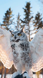 4.1K views · 101 reactions | "Since getting my hands on the Sony...