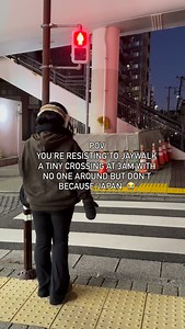 Respecting the laws no matter what 🫡 🚦 #japan #japanmemes #japantravel #japantrip | Akidearest