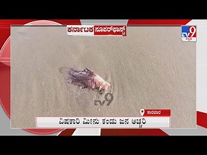 TV9 Karnataka Superfast News At 8PM | 22st April 2022