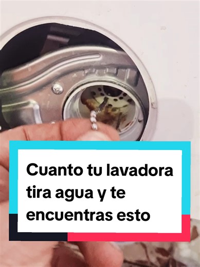 Bergalister on TikTok