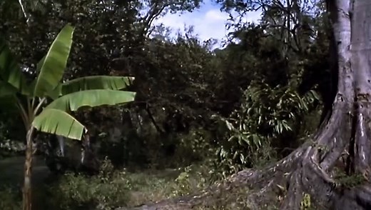 Tarzan and the Lost Safari (1957)