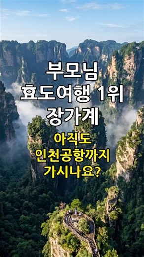 장가계 패키지 여행 일정표!부모님 효도 여행 1순위 장가계