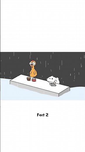 Bongo Cat, Fact #2 ‪@BongoCat‬ #bongocat #animation