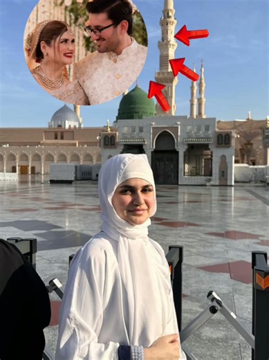 Appeal to TikTok Team Regarding Video Review