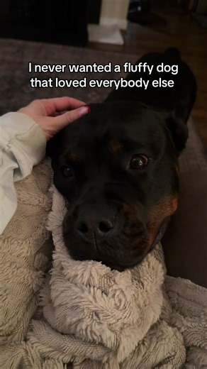 Forreallll tho but Ruby and Dallas do love all people ❤️ hate dogs love people lol But they love me the most 😏 #fyp #fypシ゚viral