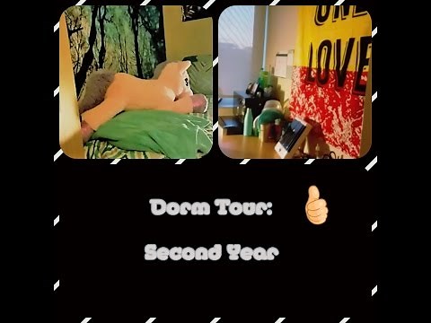 Wayne State University Dorm Tour: Towers Suite