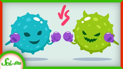 How to fight COVID-19 with a virus