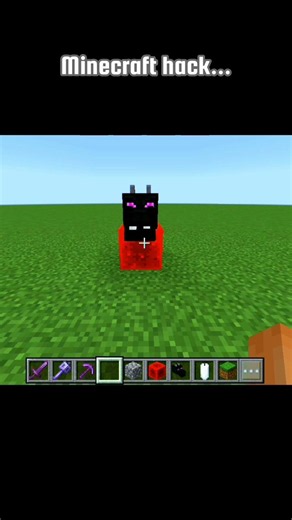 Minecraft hack...#shorts #minecraft #hack