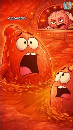 Can Your Appendix Burst Suddenly? #Appendicitis #ER #Shorts