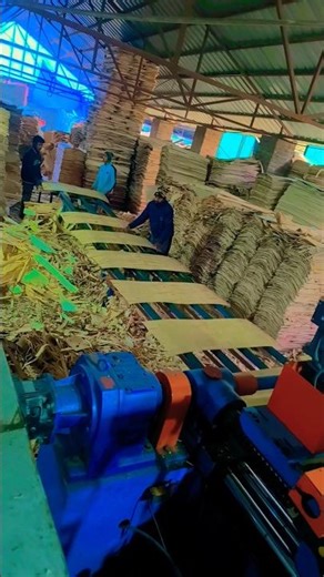 #viralvideo plywood Pelling #woodworking 🪵🪵🪵👉 #machine