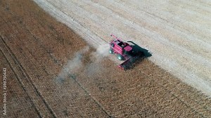 Harvester harvests sunflowers on a sunny autumn day - drone orbit back shot. Collecting sunflower seeds in a farm field using a combine harvester - Drone orbit back Shot