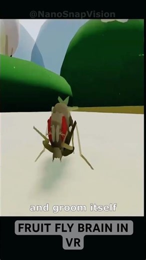 The fruit Fly That Lives in a Computer 🪰