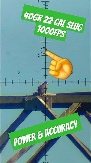 The power of the FX Impact | 40gr 22 cal slug | 1000fps | Unreal Airgun Accuracy | Best #fxairguns