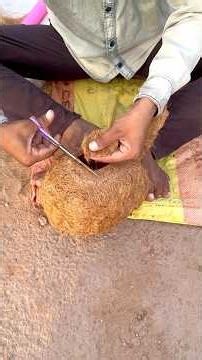 Farmer makes amazing nest from waste grass in the field