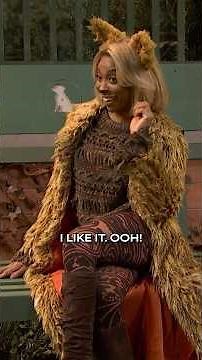 just an average day at the dog park