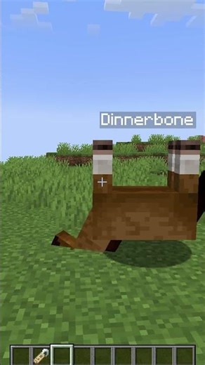 I Tested Viral Minecraft Myths Which Ones Are Real ?