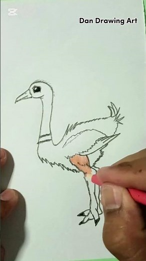 How to Draw Ostrich step by step with Pencil | Tutorial Drawing | easy draw for beginner