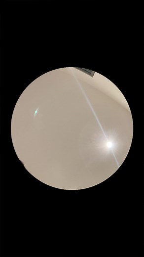 Alpha TikTok: The Rise of Alpha QZ