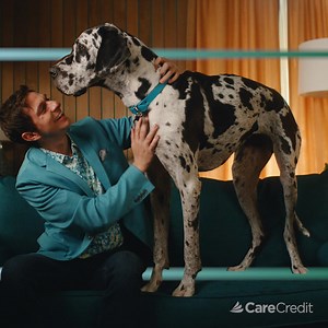 4.4K views · 31K reactions | With over 25,000 Veterinary locations enrolled with CareCredit, your pets always have the care they need to keep on chasing. | CareCredit | Facebook